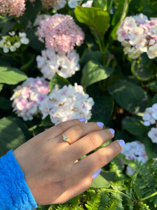 PLAY OF COLOUR